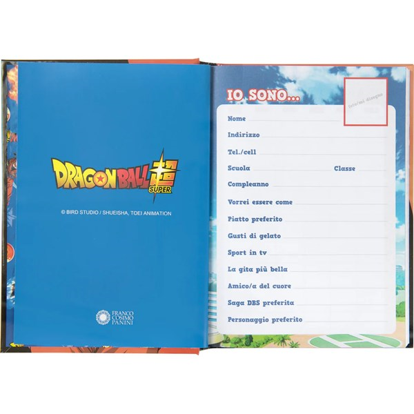 Immagine di DIARIO 12MM STD ORANGE DBS