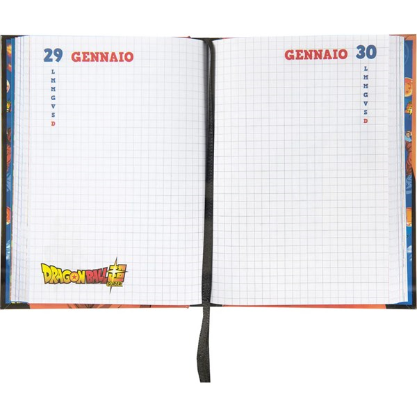 Immagine di DIARIO 12MM STD ORANGE DBS