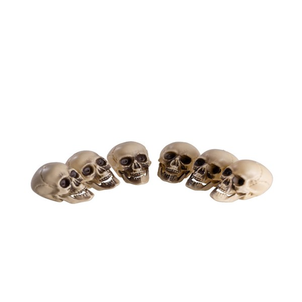 Immagine di 6 Teschi h.cm.5 ca. in busta di rete  con cartelli