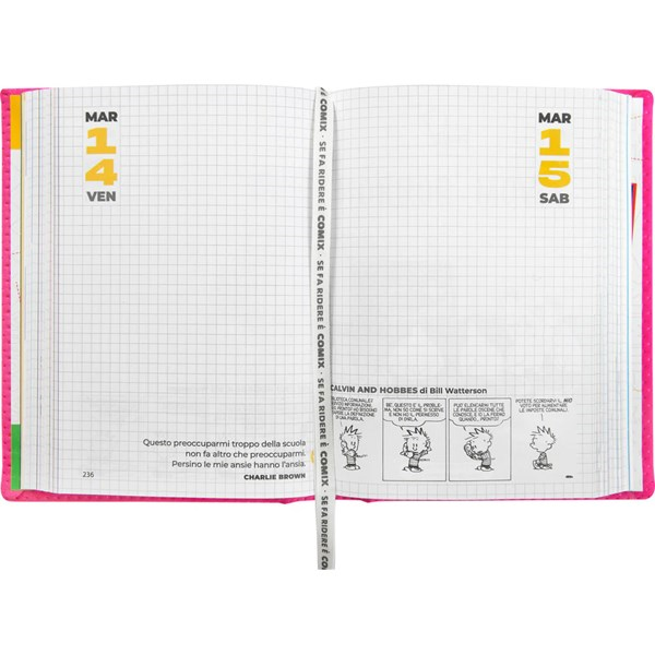 Immagine di AGENDA 16M STD MESH FUCSIA SPECIAL COMIX