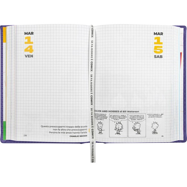 Immagine di AGENDA 16M STD MESH VIOLA SPECIAL COMIX