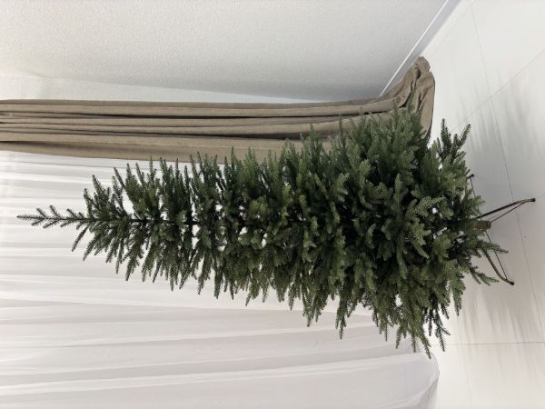 Immagine di Albero Emma H.180 cm